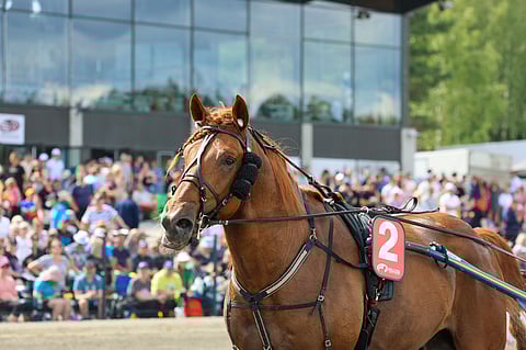 V.G. Voitto lähtee takarivistä Erilo-juoksun pikamatkalle.
