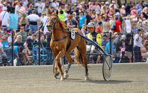 Cimallus ja Henri Bollström