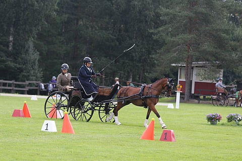 Raisa Takkinen ja Kooihuster Harro Ypäjän SM-kisoissa.