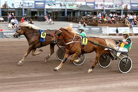 Tuulen Viljosta on rakennettu pitkäaikaista kilpahevosta. Silti uran kahteentoista kilpailuun mahtuu Arto Hammarin ajama kahdeksan voiton putki.