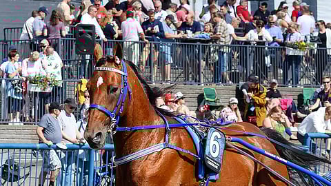 Condor Bar vaihtoi yllättäen valmentajaa. Condor Bar on näyttänyt luokkahevosen otteita.