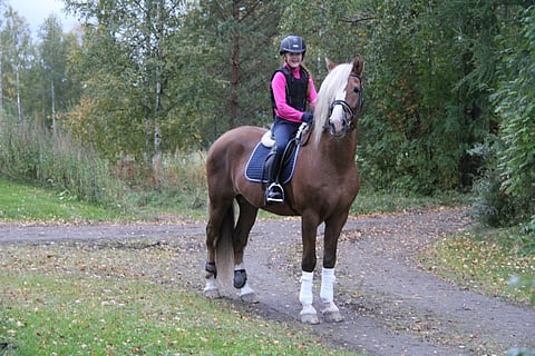 Anniina Mallat ja Ponuveikko vuonna 2017.