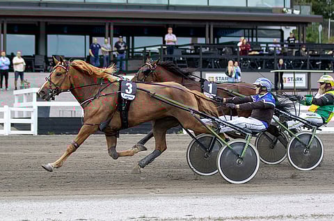Kukkarosuon Veijo kuuluu ikäluokkansa kärkihevosiin.