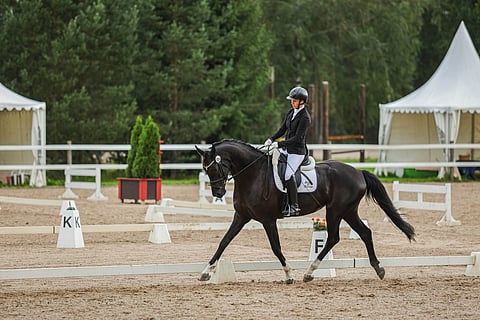 Kisahulinassa vain edukseen.