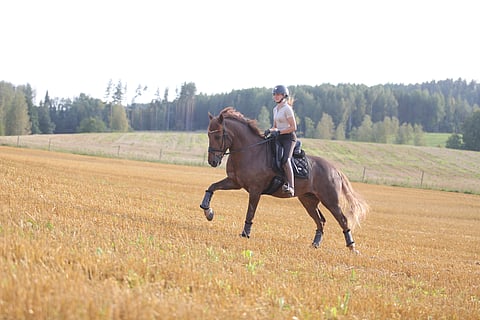 Perjantaina alkavat koulumestaruudet - haastajan roolista, joka sopii Essi Hiidensalolle hänen mielestään oikein hyvin.