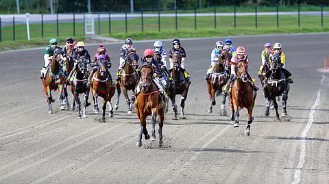 Ohjastajan käyttämät lisäpainot voivat haitata ratsukon tasapainoa.