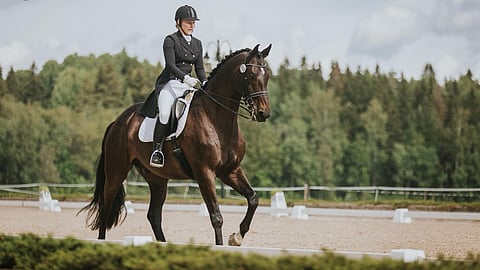 Radcliff on isokokoinen oldenburginruuna, joka menee sunnuntaina elämänsä ensimmäisen GP-luokan Hyvinkäällä.