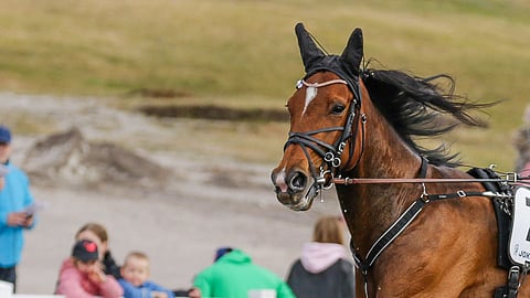 Velvet Gold kellotti 11,6-tuloksen mailin pikapyrähdyksessä.