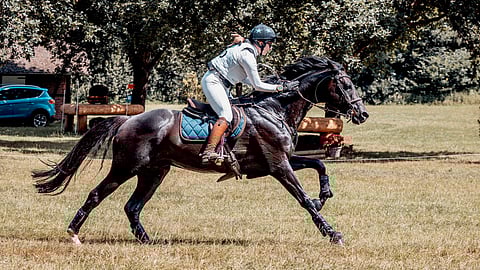 Ibsen tekee nyt tuloaan kolmeen tähteen.