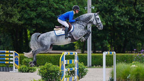 Miljoonan euron huutokauppaori on Z, mutta edustaa puhtaasti saksalaisia verilinjoja.