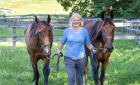 Money Matters ja Can Can Broline ovat Rexhammarin tämän hetken menestyshevoset.