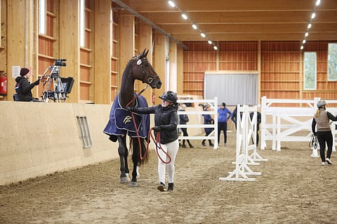 Pinja Komulainen esittelee kunniakierroksella kolmivuotisvoittajaa San Manuelia.