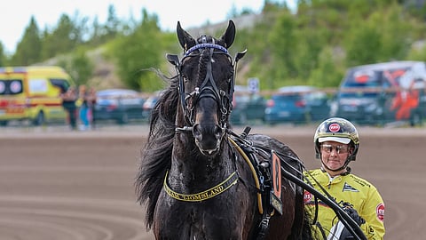 Grislefaksen G.L. on ollut kerran toinen ja kerran voittanut Pohjoismaiden mestaruuden.