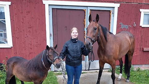 Iines Kassinen, Aarteen Launo ja All Wild Dreams.