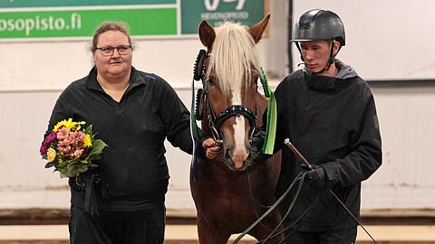 3-vuotiaiden laatuarvosteluvoittaja Metkuttaja TS