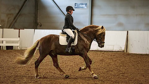 Venlan Väinö ja Iina Purontakainen