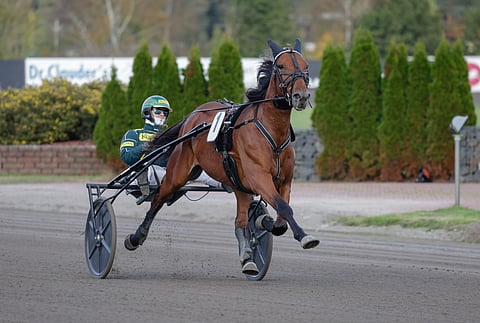 Callela Nelson on heti kauden avausstartissaan suursuosikki.