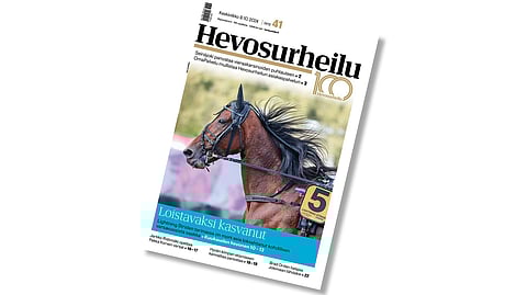 Hevosurheilu on ilmestynyt – mukana loistokas Lightning Stride, Laakkosten kolme Trav-Oaks-finalistia ja Pekka Korven varsoja opettava Jarkko Ristimäki