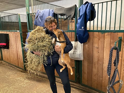 Ympyrä, joka sulkeutui – kouluratsastaja Elisabet Ehrnroothille Helsinki Horse Show ei ole vain yksi kilpailu muiden joukossa