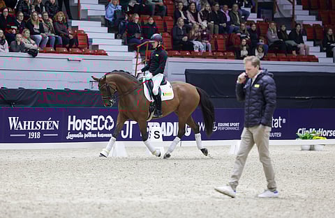 "Kotonahan kaikki on aina helppoa. Kuten nyt täällä", totesi Henri Ruoste satulassa olevan Ville Vaurion tehtävästä.