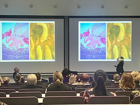 ELL, tarttuvien eläintautien erikoiseläinlääkäri Katja Hautala väitteli perjantaina Viikissä hevosten sisäloisista. Professori Johan Höglund Ruotsin maatalousyliopistollta toimi vastaväittäjänä ja Antti Sukura kustoksena. Kuvassa näkyy hevosen heisimato ja sinisessä kuvassa on sen pää suurennettuna.