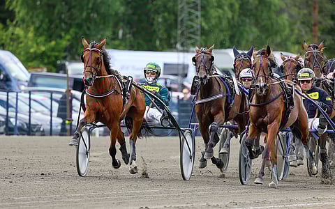 Ze On Alma hakee kauden huipennusta Kasvattajakruunusta.