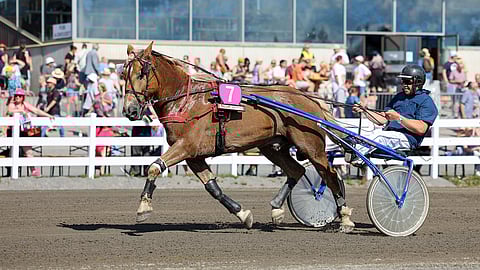 Perusliksan rattailta tuttu Harri Partanen täyttää 60 vuotta. "Viisikymppisillä laulettiin karaokea. Nyt on vaan tainnut ääni mennä."