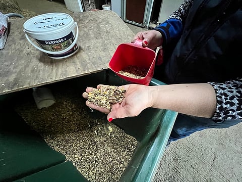 Rehujen säilytyksessä kannattaa olla tarkka.