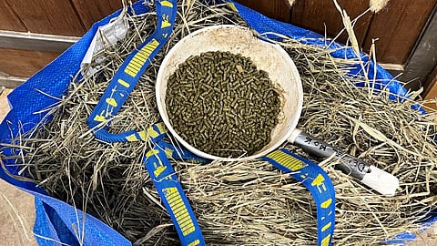 Ikea-kassi ja kalavaaka käyttöön, suosittelee kaviokuumeesta väitellyt eläinlääkäri.