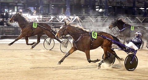 Ravihevonen ja kuski.