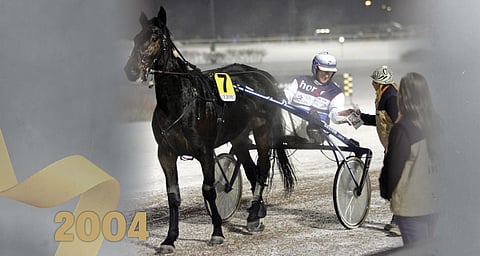 Old Maid Hall tuoreena SE-tammana. Rattailla omistaja-valmentaja-ohjastaja Pekka Korpi.