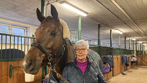 Orvokki Jalkanen kuvassa Jasmin Sikströmin tamma Lapinjärvi Doris Dionen kanssa. Jalkanen kertoi tuntevansa tamman isäorin Don Deluxen.”Näin sen körungissa ja huutokaupassa aikoinaan. Hieno ori, jättää yleensä vähän isompaa kuin tämä hieno pikkutamma."