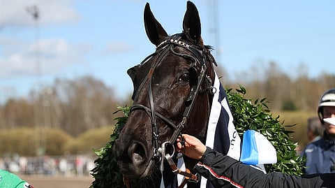 Lexus Dreamin menestyksekäs ura on ohi. Viimeisen kerran se kilpaili kesäkuussa Vermossa.