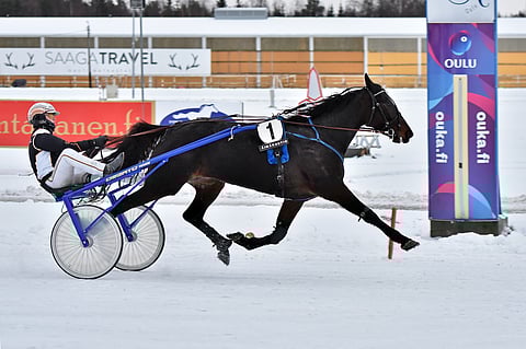 Ravuri Shiny Princess rattaillaan Tuukka Varis