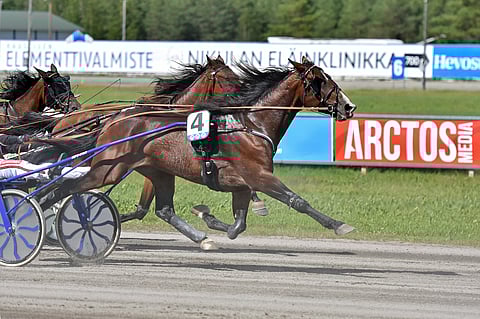 Madagascar on hurmannut voittojuoksuillaan. Nyt sitä odottavat entistä kovemmat haasteet. Taustajoukot uskovat sen pystyvän menestymään edelleen.