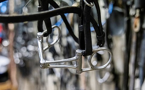 Ravihevosten crescendo-kuolain on otsikoissa taas. Samoin puoltajankuolain, kieliside ja ratsuilla kankikuolain ja jotkut apuohjat.