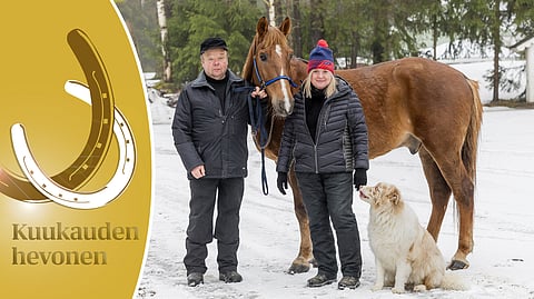 Tuuskanen, Kimmo ja Sari Niemelä ja australianpaimenkoira Uki.