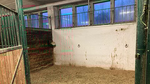 Virkamiehen asunto on Helsingin ydinkeskustan tuntumassa. Puistonäköala.