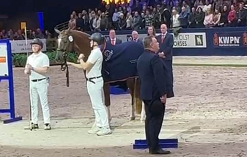 So Unique STH (Vivino - Boston STH) on oripäivien voittajaori. Anne-Mari Miss seurasi KWPN-oripäivät paikan päältä.