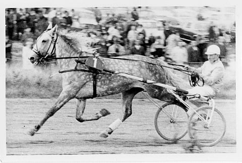 Väinö Rosimon Raduga oli Keimolan ravien nopein.