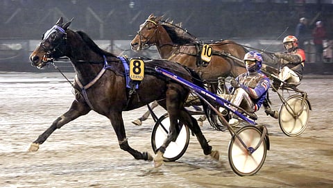 Royal Luca, Olli Koivunen