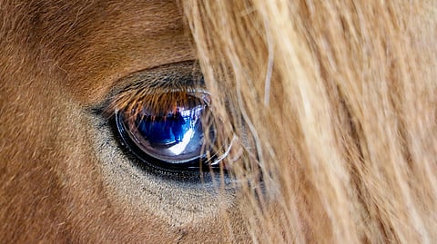 Pääkirjoitus: Häirintä on yksipuolista ja ei-toivottua – eikä sen erottaminen normaalista kosketuksesta ole rakettitiedettä