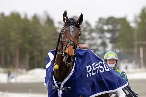 EL Indeed voitti maaliskuun alussa hopeadivisioonafinaalin Teivossa.