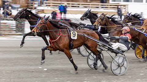 Donna Barosso oli niukasti Rivercapes Frozenin edellä Teivon tammadivisioonafinaalissa viime lauantaina.