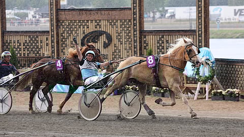 Niemen Julius ja Jouko Tarvainen