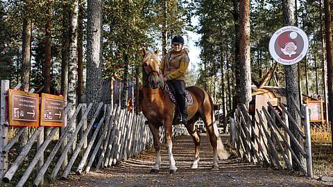 Katri Mikkola innokas ravi- ja ratsastusharrastaja. Napapiirillä on kesälläkin toimintaa, kuvassa Mikkola on Tumen Tomeran kanssa.