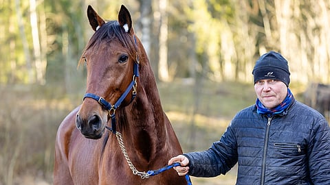 Tero Pohjolainen valmentaa kovasukuista Nine To Fivea.