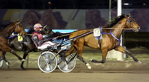 Goeland d'Haufor leikkasi maalilinjan ensimmäisenä. Ohjastajana toimi Santtu Raitala.