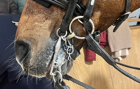 Aiempi kielto on korvattu uudella kielletyt menetelmät -säännöllä.