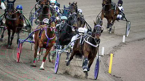 Ravit kokelaslähtö